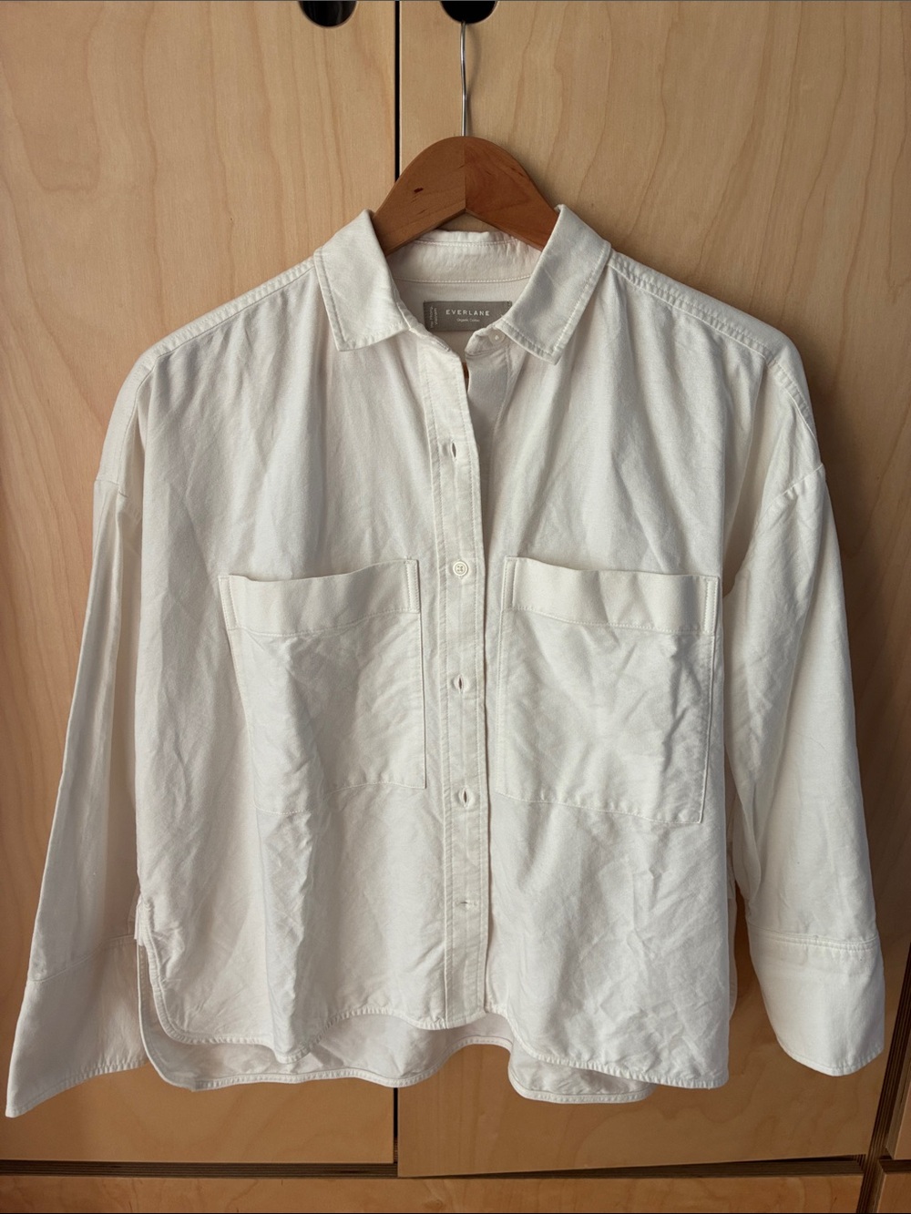 Everlane Boxy Oxford Organic Cotton